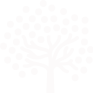 网站攻击工具手机版